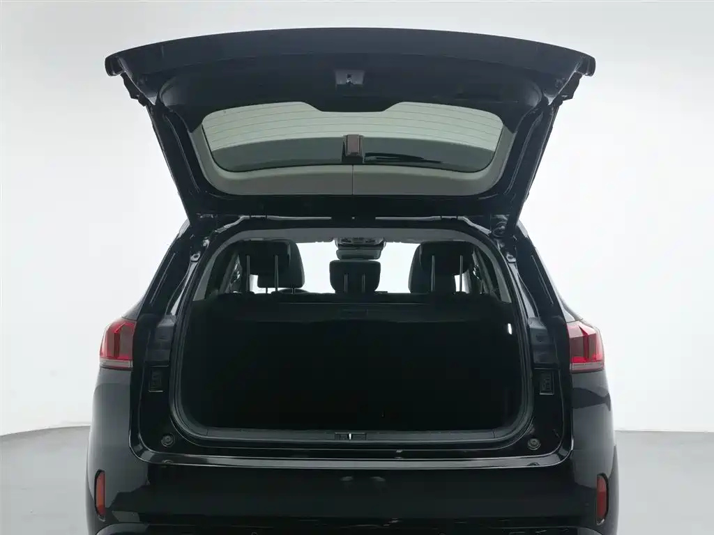 WEY VV6 2020