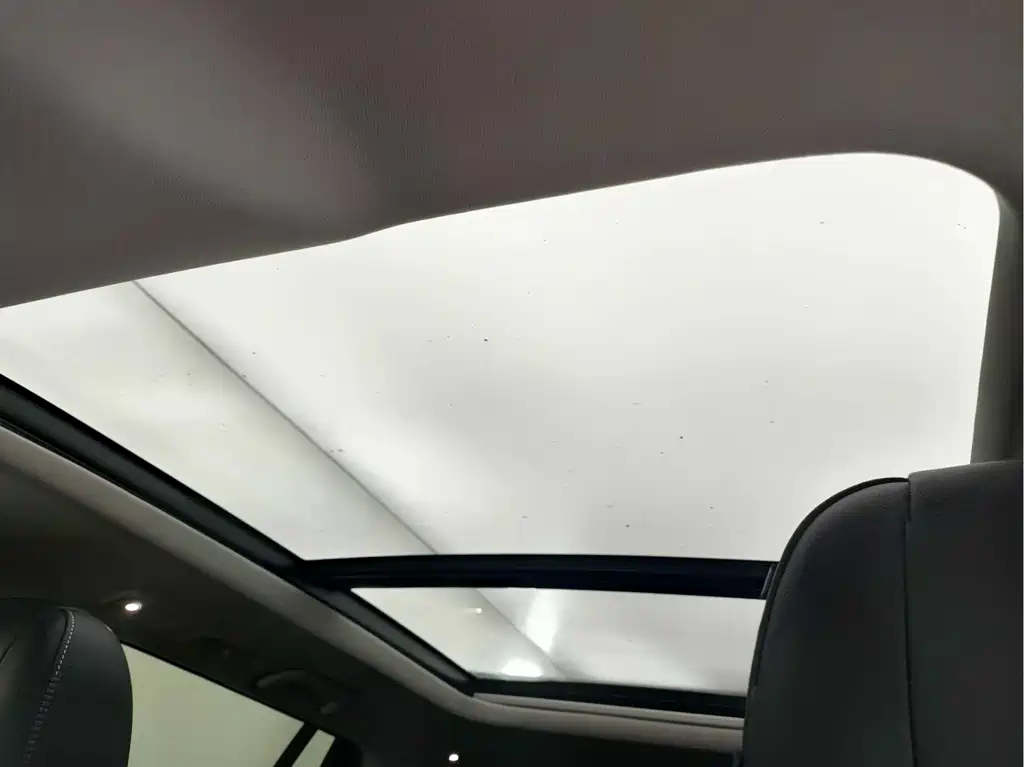 TRUMPCHI GS8 2020