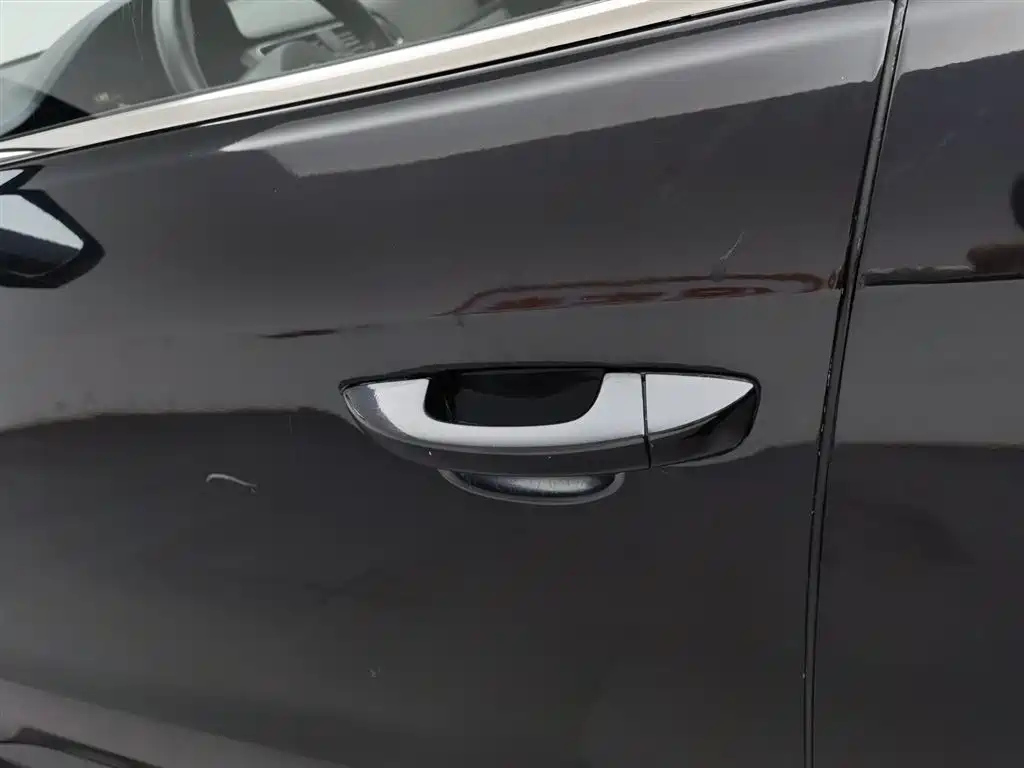 VOLKSWAGEN LAVIDA 2013