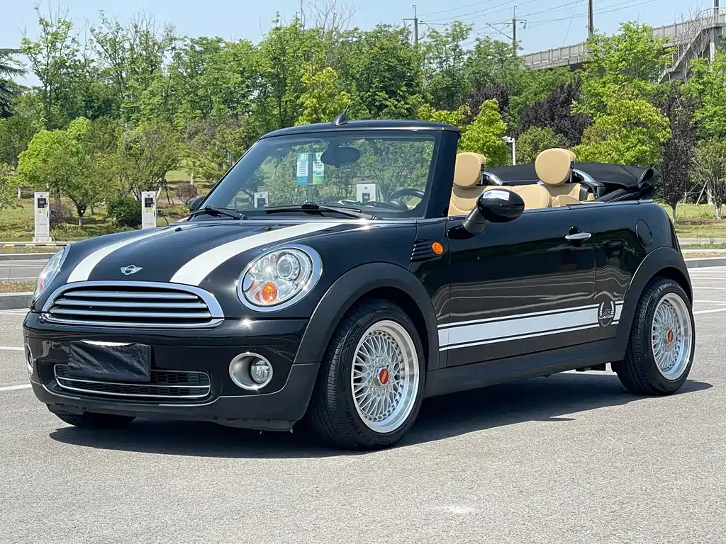 MINI OTHER 2009