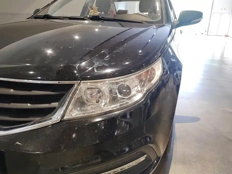 GEELY AUTO VISION 2015