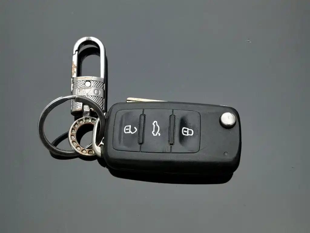 VOLKSWAGEN LAVIDA 2013