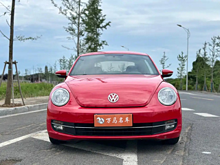 VOLKSWAGEN BEETLE 2013