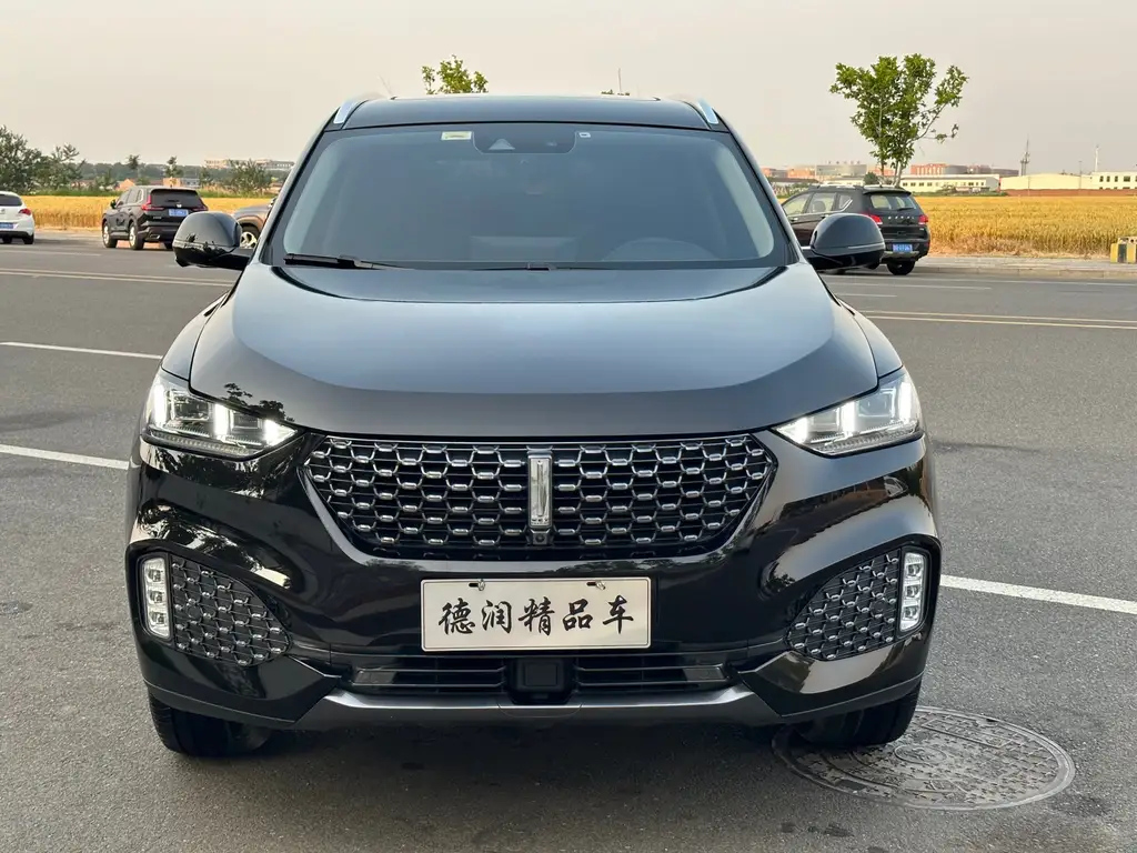WEY VV6 2020