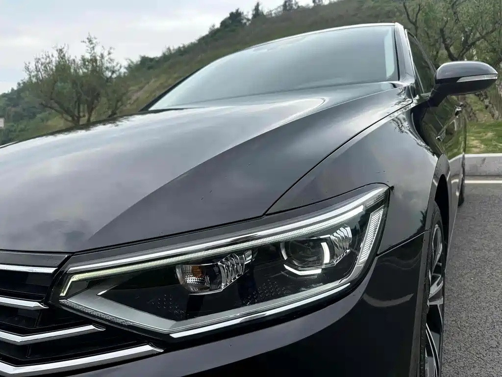 VOLKSWAGEN MAGOTAN 2020