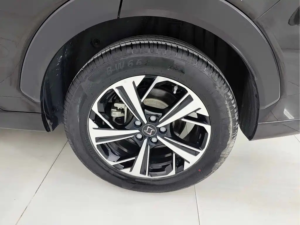 SOL QX 2021