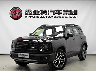 Заказать HAVAL BIG DOG