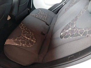 catalog-car-17