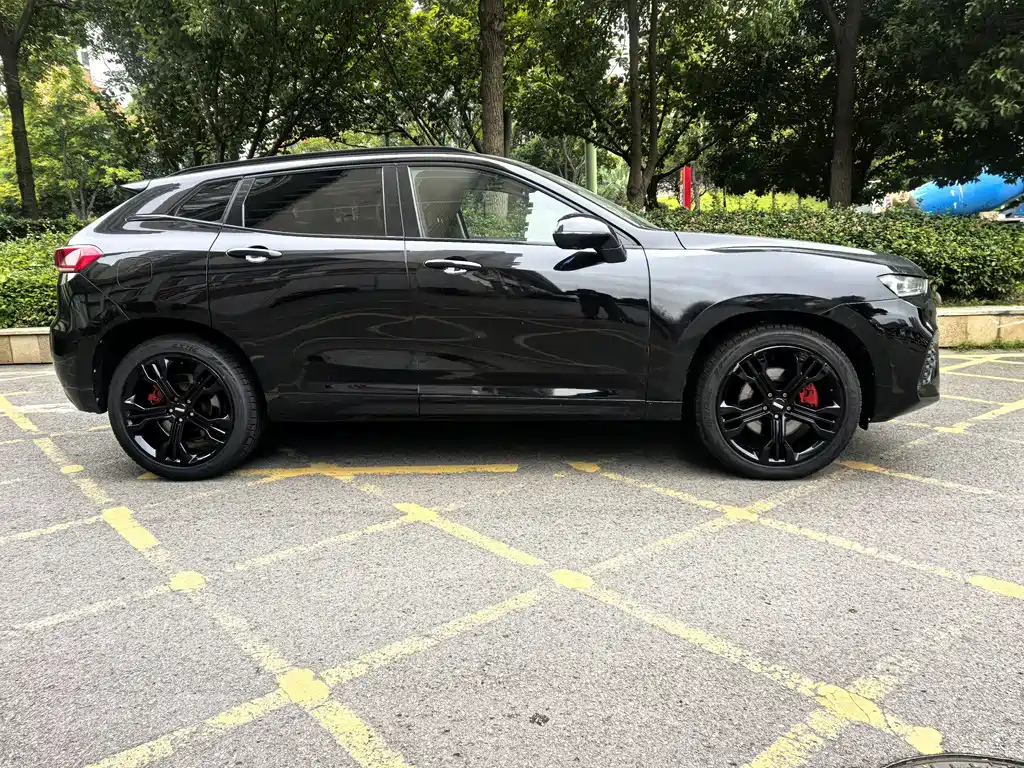 WEY VV7 2017