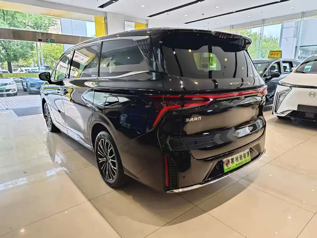 DONGFENG OTHER 2024