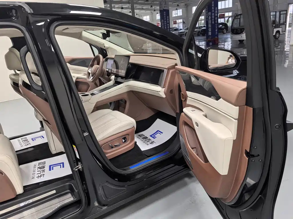 BYD OTHER 2025