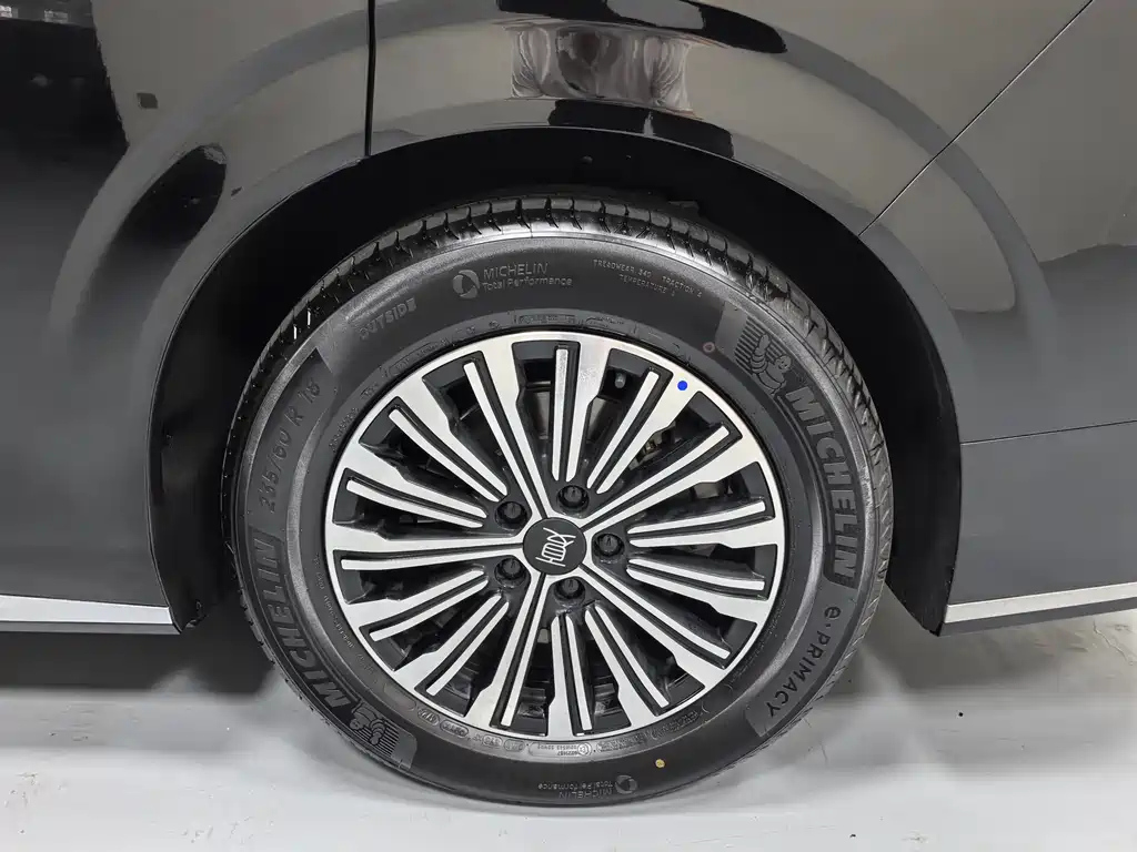 BYD OTHER 2025