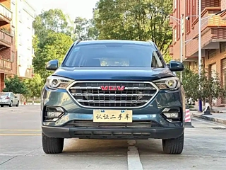 VGV U70 2020