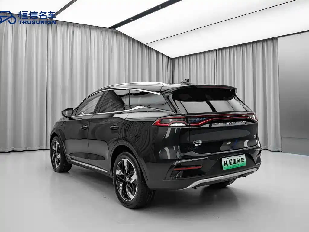 BYD TANG NEW ENERGY 2023