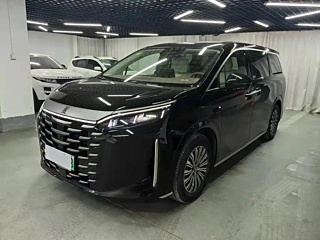 BYD OTHER