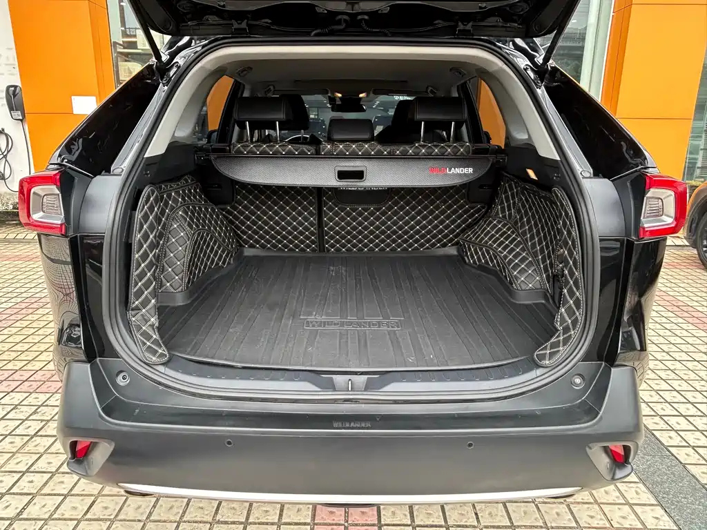 TOYOTA WILDLANDER 2022