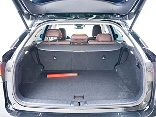 LEXUS RX  2020 YEAR 450H 4WD &#26234;. HYBRID &#29305;&#21035;&#38480;&#37 2020