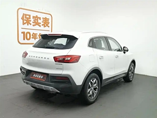 Заказать BORGWARD BX5