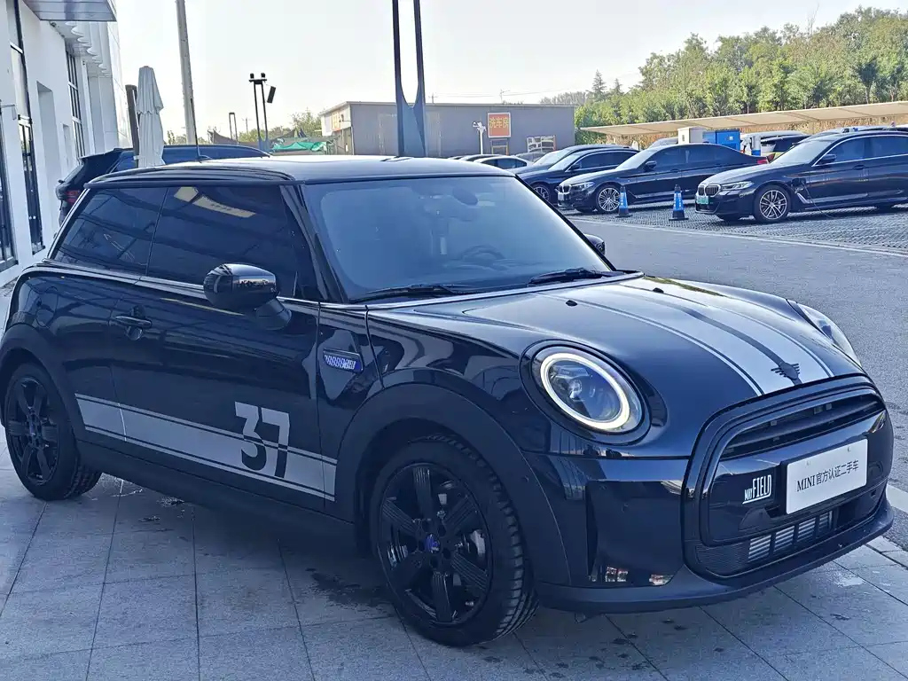 MINI OTHER 2024