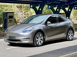 TESLA MODEL Y  2021 YEAR STANDARD RANGE &#21518;&#39537; EDITION 2021