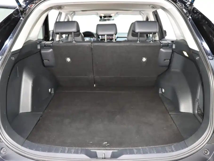 TOYOTA WILDLANDER 2022