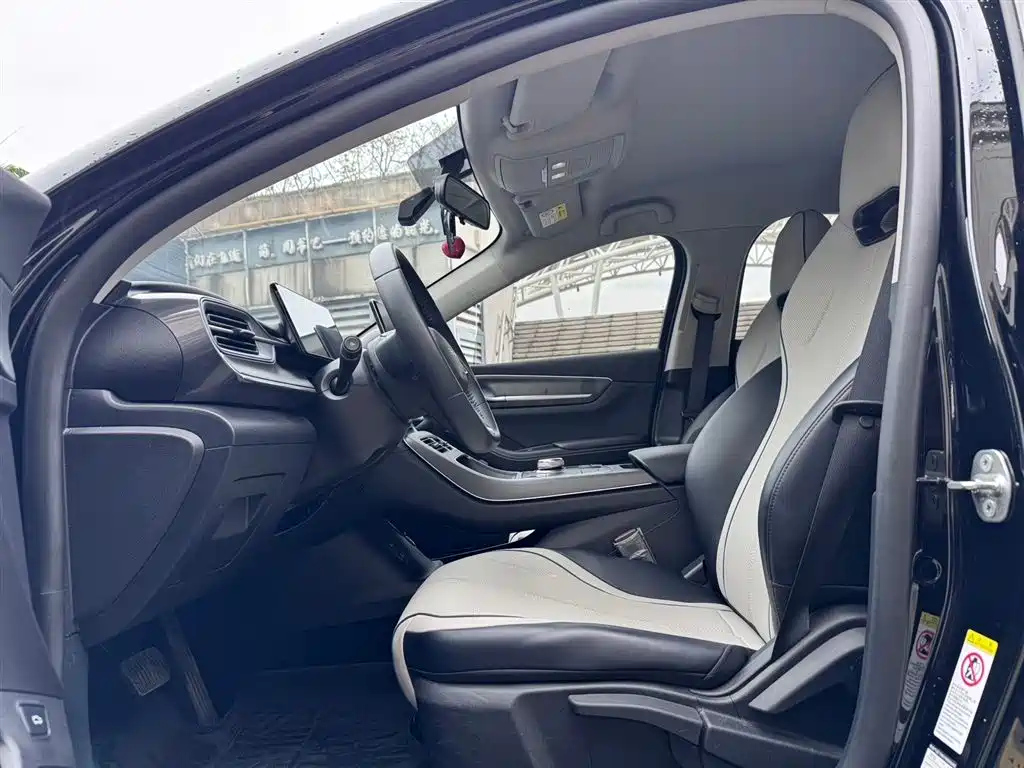 BYD DESTROYER 05 2024