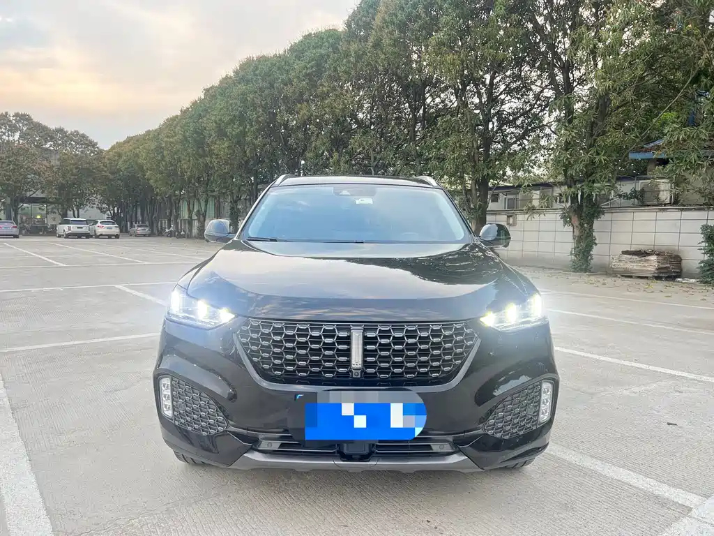 WEY VV6 2020