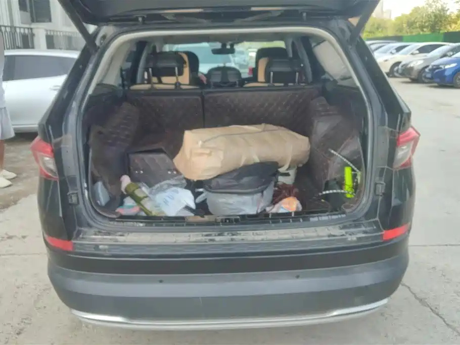 SKODA KODIAQ 2019