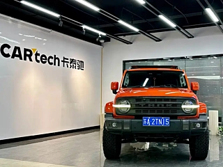 TANK 300  2021