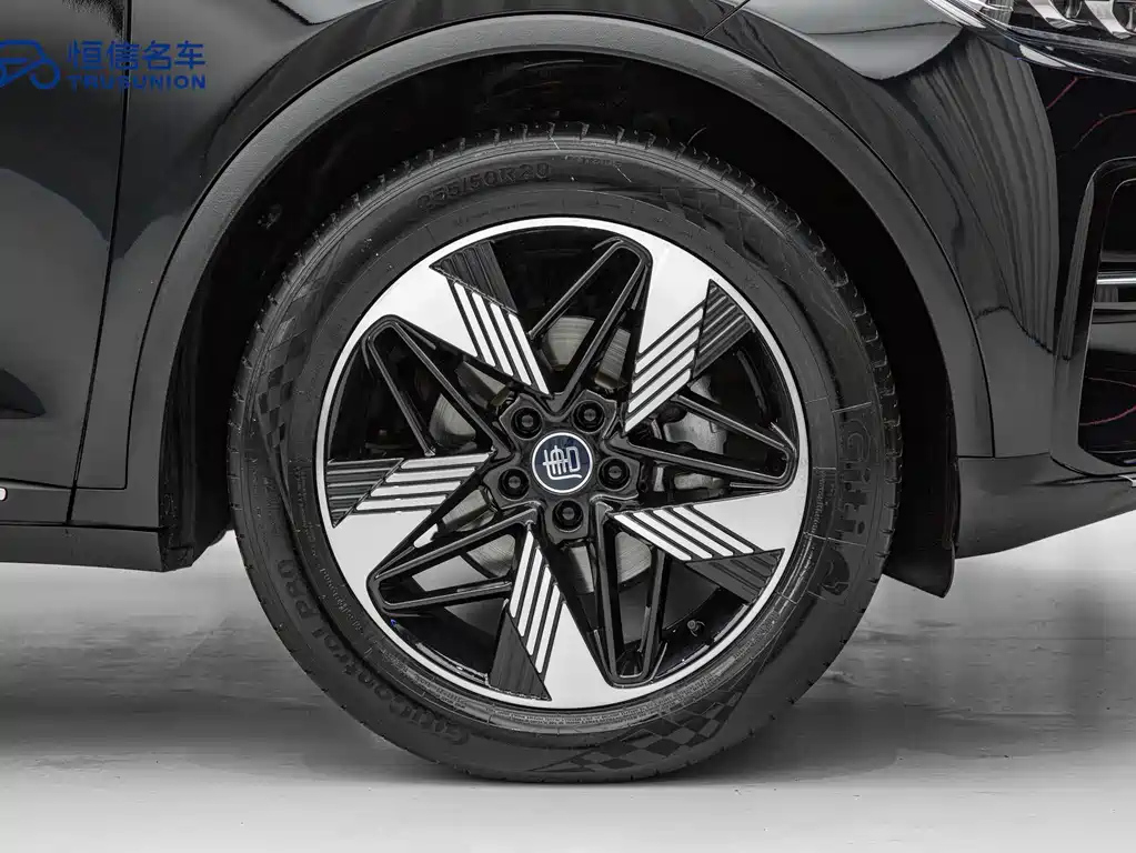 BYD TANG NEW ENERGY 2023