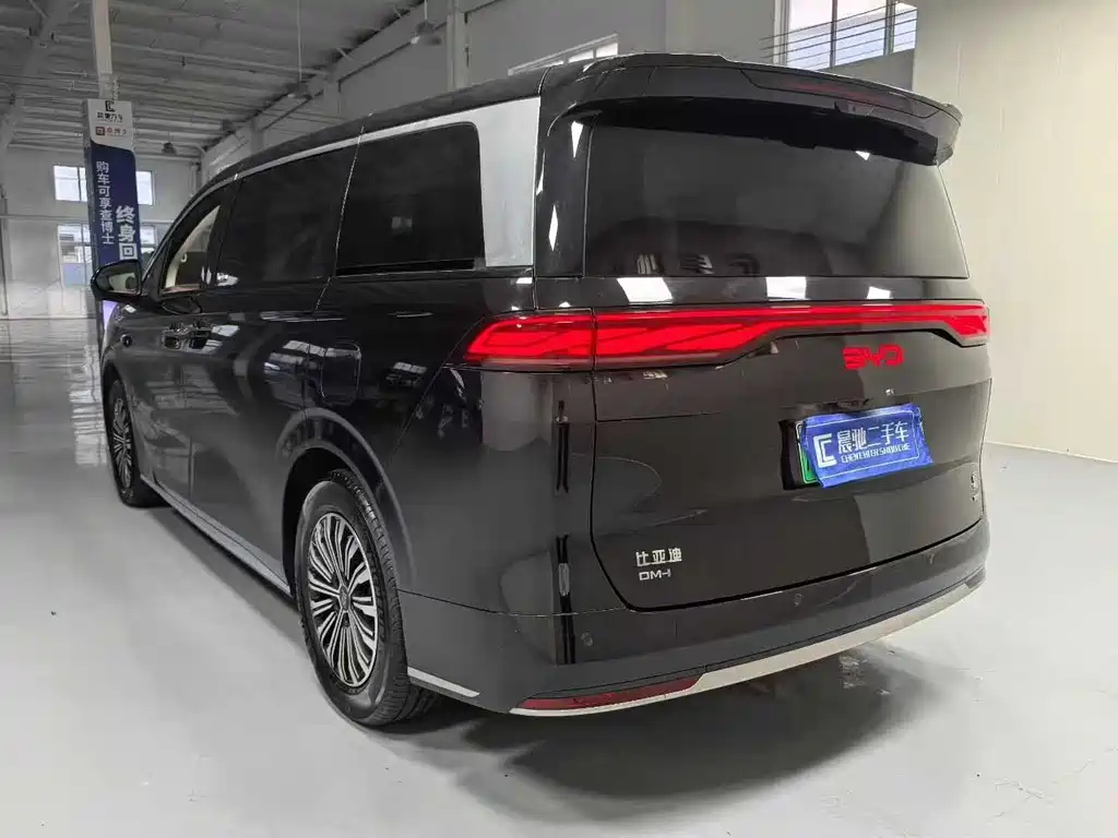 BYD OTHER 2025