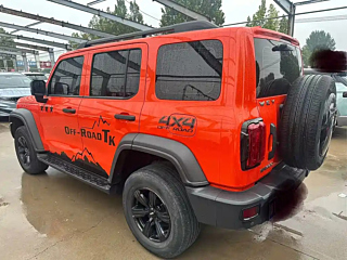 TANK 300 2021 YEAR EDITION 2.0T 2021