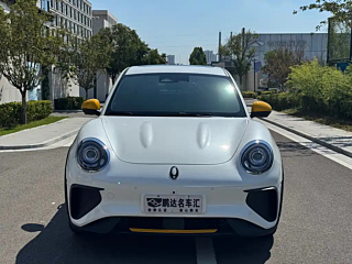 Заказать ORA GOOD CAT GT