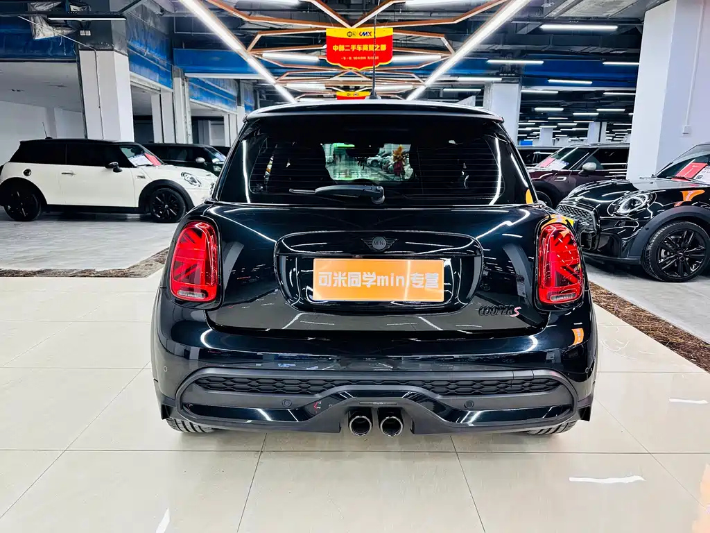 MINI OTHER 2023