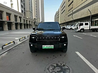 JETOUR SHANHAI T1 2025