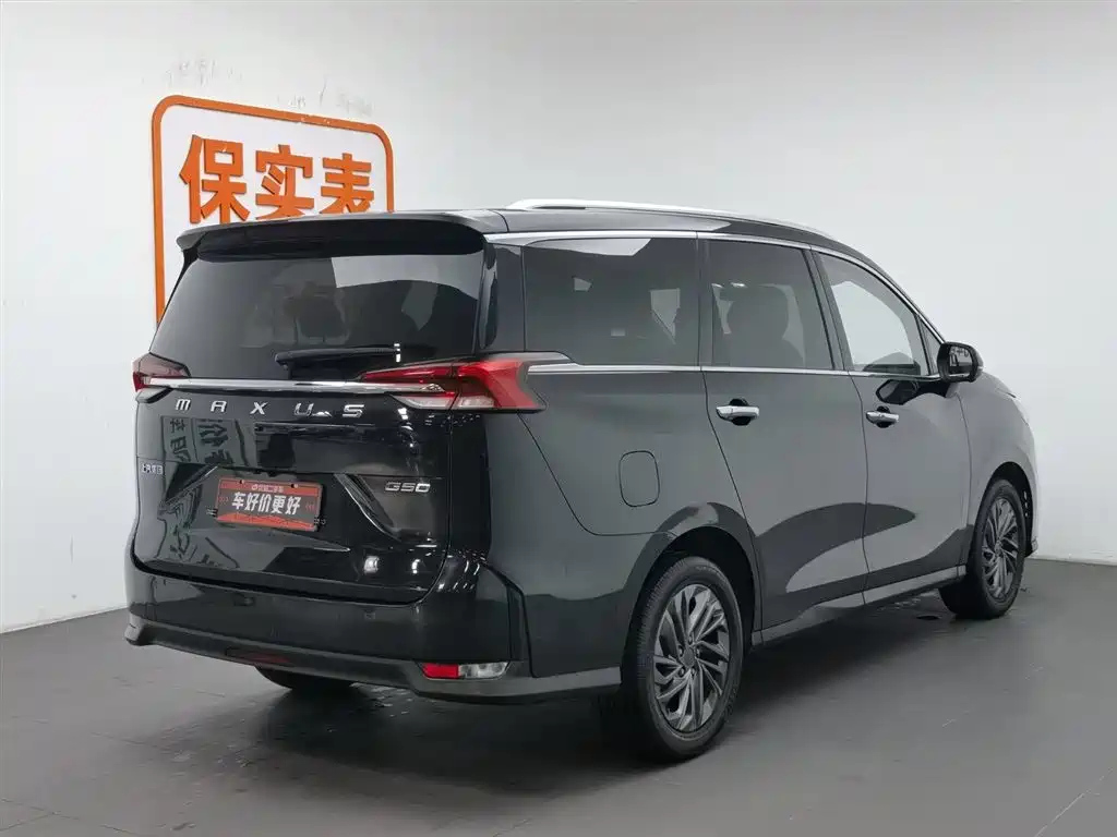 MAXUS OTHER 2019