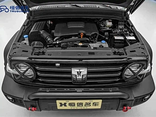 TANK 300 2021 YEAR EDITION 2.0T 2021