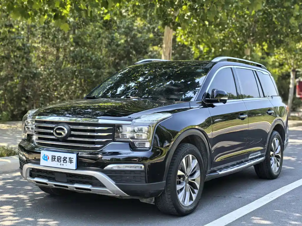Аукционный лист TRUMPCHI GS8 2018