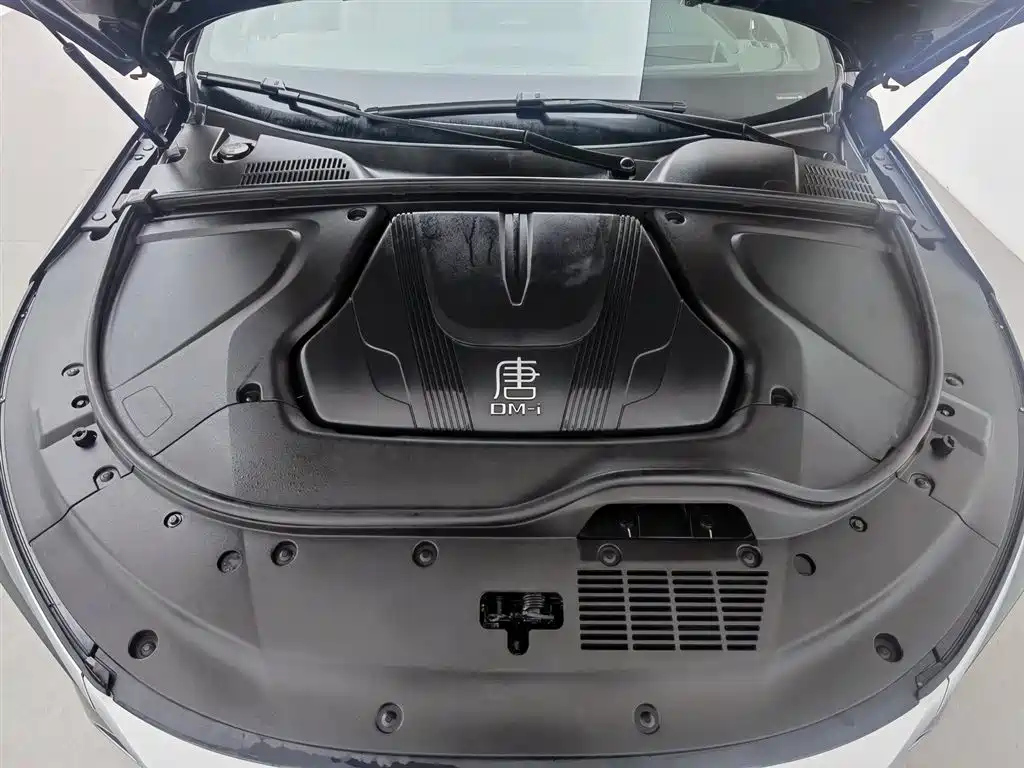 BYD TANG NEW ENERGY 2024