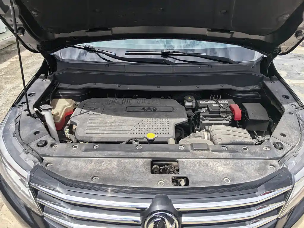 DONGFENG FORTHING SX6 2019