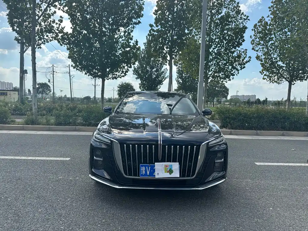 HONGQI H5 2024