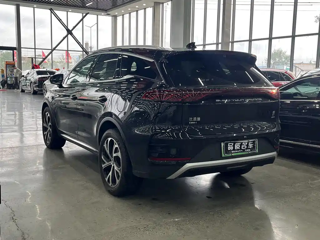 BYD TANG NEW ENERGY 2025