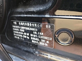 TANK 300 2025 YEAR 2.0T CHALLENGER 2025