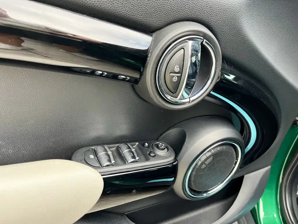 MINI OTHER 2020
