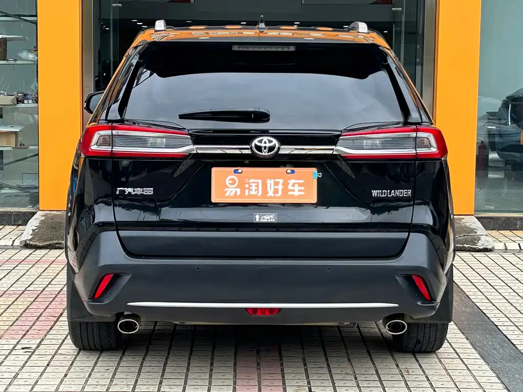 TOYOTA WILDLANDER 2022