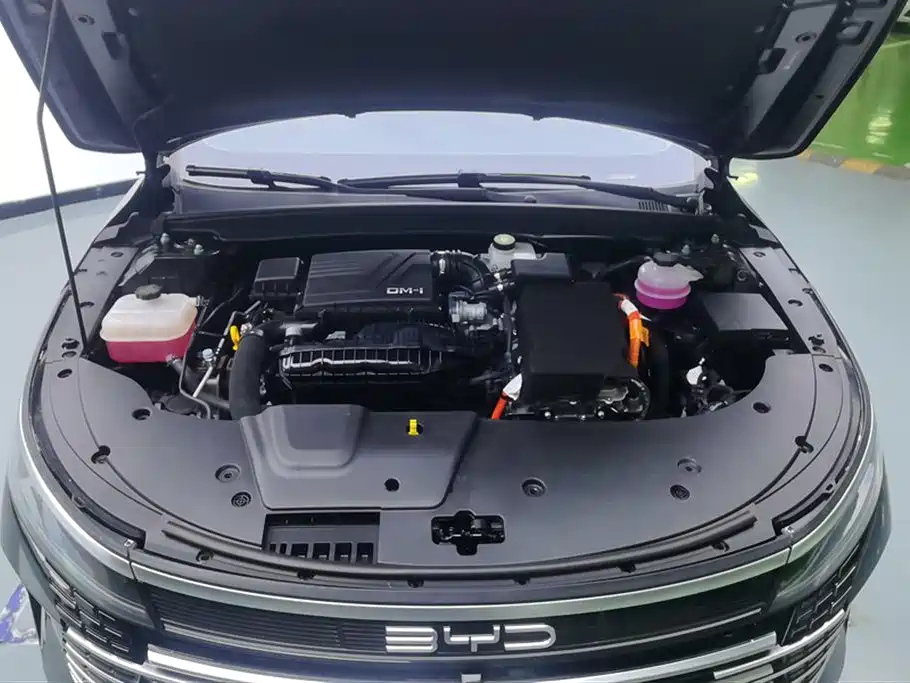 BYD DESTROYER 05 2024