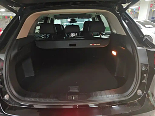 TRUMPCHI GS4 PLUS  2021 YEAR 390T AUTOMATIC  EDITION 2021