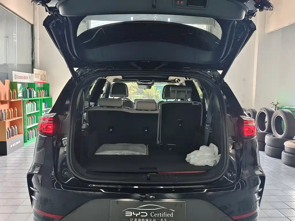 BYD TANG NEW ENERGY 2025
