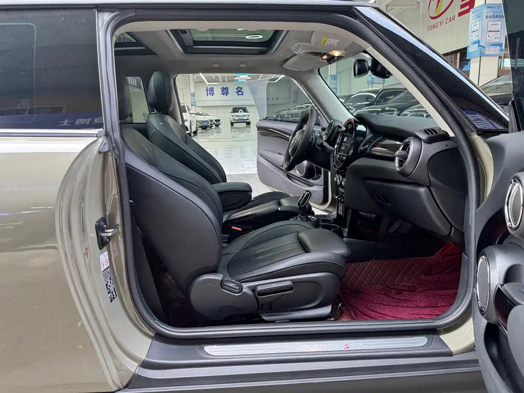 MINI OTHER 2020