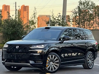 Заказать DENZA N9